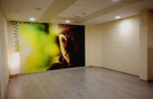 Sala Buda