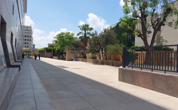 Este es el patio trasero, lugar de zona común donde desayunar tranquilo 