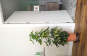 Parte de recepción y entrada a baños