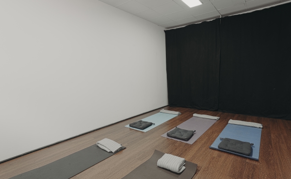 sala gris